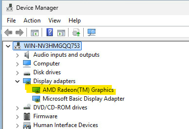 Device Manager before: AMD Radeon(TM) Graphics visible under Display Adapters