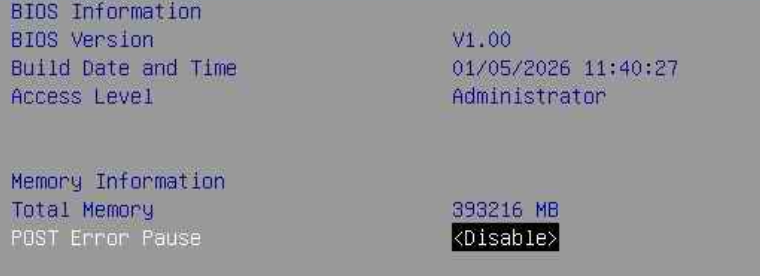 Memory summary confirming half capacity is reported